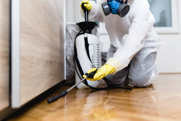 Best Best Pest Control Companies  in Baxter Village, SC