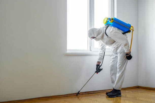 Best Flea Control Services  in Baxter Village, SC