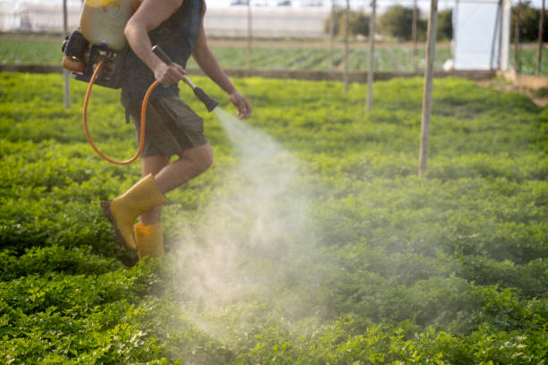 Best Local Pest Control Services  in Baxter Village, SC