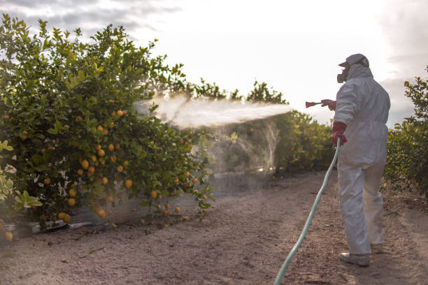 Best Insect Control  in Baxter Village, SC